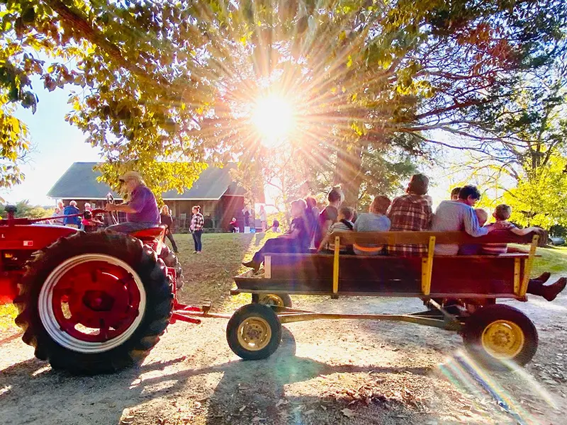 Fall Festival
