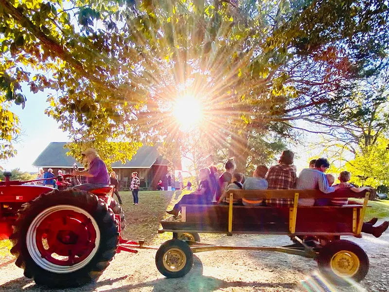 Fall Festival